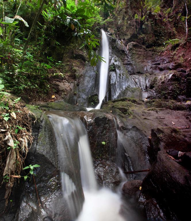 Bali Eco Adventure And Retreat Center Hotel Tegallalang  Bagian luar foto