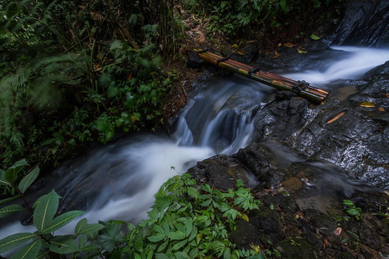 Bali Eco Adventure And Retreat Center Hotel Tegallalang  Bagian luar foto