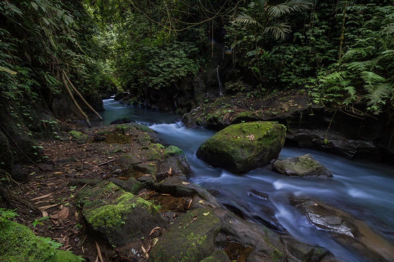 Bali Eco Adventure And Retreat Center Hotel Tegallalang  Bagian luar foto