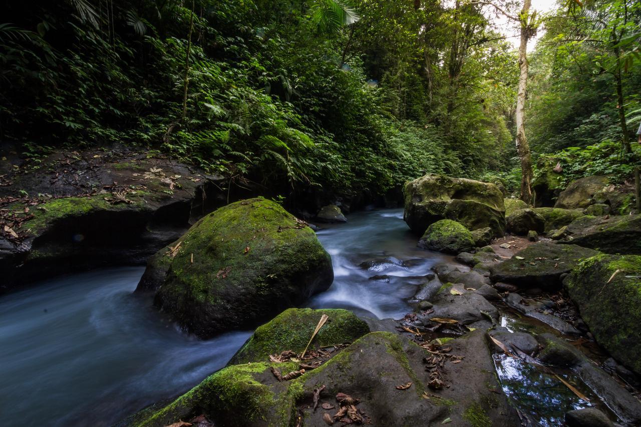 Bali Eco Adventure And Retreat Center Hotel Tegallalang  Bagian luar foto