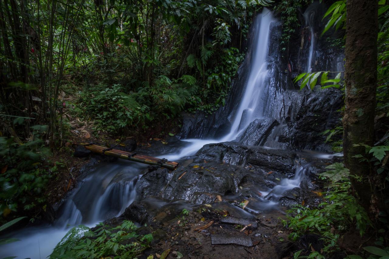 Bali Eco Adventure And Retreat Center Hotel Tegallalang  Bagian luar foto